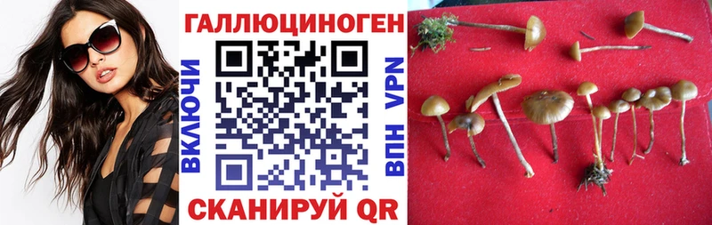 Галлюциногенные грибы ЛСД  гидра онион  Юхнов 